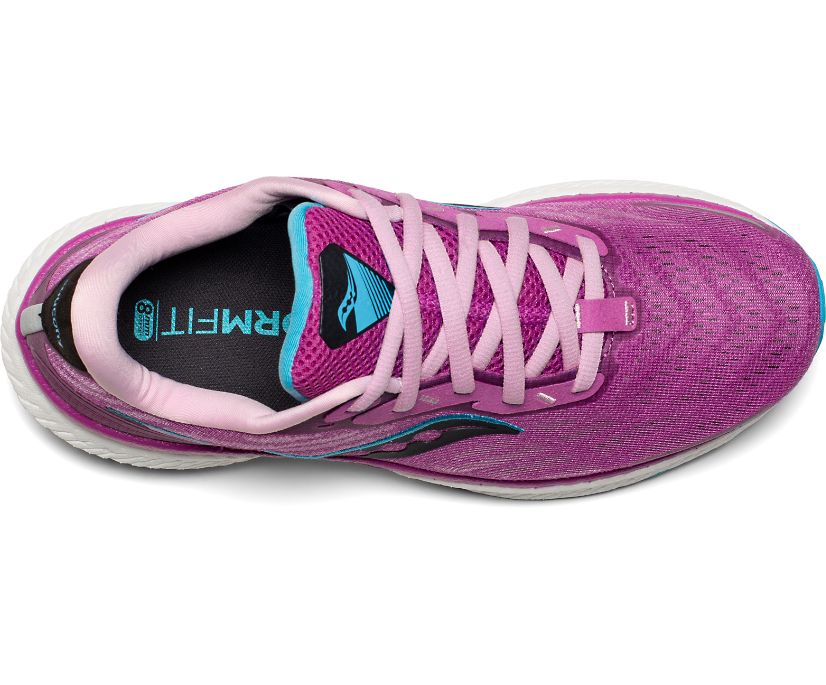 Women's Saucony Triumph 19 Running Shoes Purple | Singapore 205VRWD